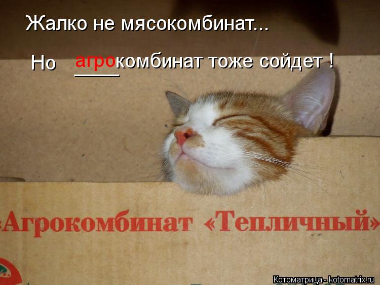 Котоматрица: Жалко не мясокомбинат... Но  агро комбинат тоже сойдет ! ____