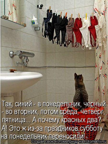 Котоматрица: Так, синий - в понедельник, черный - во вторник, потом среда, четверг,  пятница... А почему красных два? А! Это ж из-за праздников субботу на поне