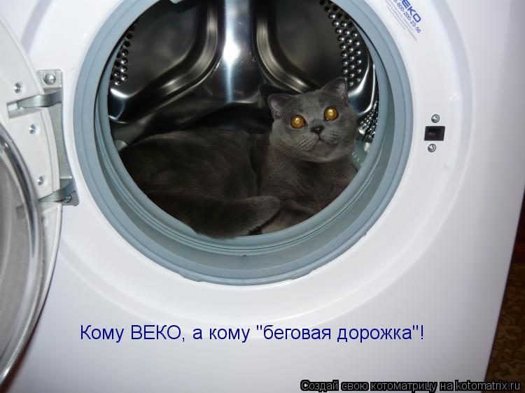 Кому ВЕКО, а кому "беговая дорожка"!... Котоматрица: Кому ВЕКО, а кому "беговая дорожка"!