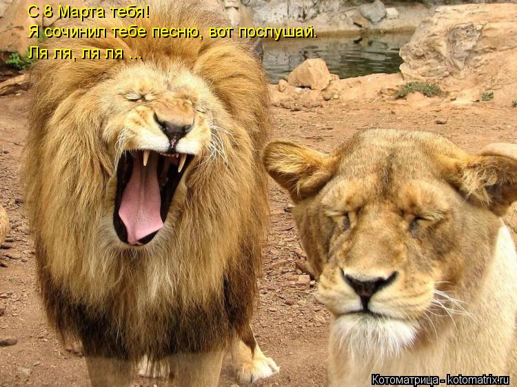 Котоматрица: С 8 Марта тебя! Я сочинил тебе песню, вот послушай. Ля ля, ля ля ...