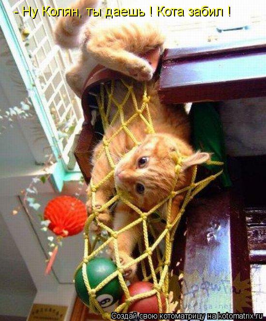 Котоматрица: - Ну Колян, ты даешь ! Кота забил !