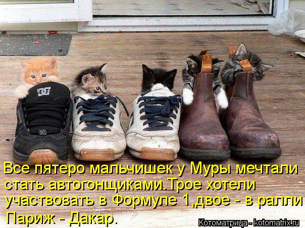 Котоматрица: Все пятеро мальчишек у Муры мечтали стать автогонщиками.Трое хотели участвовать в Формуле 1,двое - в ралли Париж - Дакар.