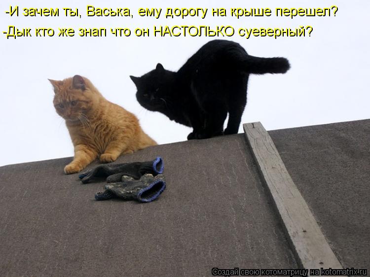 Котоматрица: -И зачем ты, Васька, ему дорогу на крыше перешел? -Дык кто же знап что он НАСТОЛЬКО суеверный?