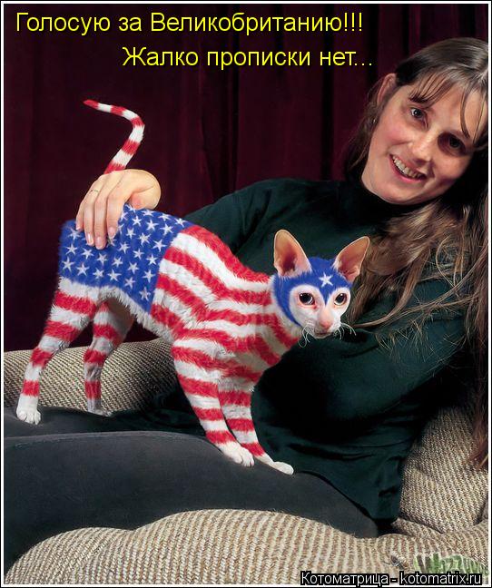 Котоматрица: Голосую за Великобританию!!! Жалко прописки нет...