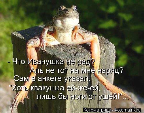 - Что Иванушка не рад? Аль не тот на мне наряд? Сам в анкете указал: "Хоть квакушка ей-же-ей, лишь бы... Котоматрица: - Что Иванушка не рад? Аль не тот на мне наряд? Сам в анкете указал: "Хоть квакушка ей-же-ей, лишь бы ноги от ушей!"...
