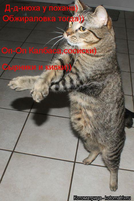 Котоматрица: Д-д-нюха у похана) Обжираловка тогда)) Оп-Оп Калбаса,сосиски) Сырники и киски))