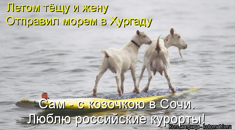 Летом тёщу и жену Отправил морем в Хургаду Люблю российские курорты! Сам - с козочкою в Сочи.... Котоматрица: Летом тёщу и жену Отправил морем в Хургаду Люблю российские курорты! Сам - с козочкою в Сочи.