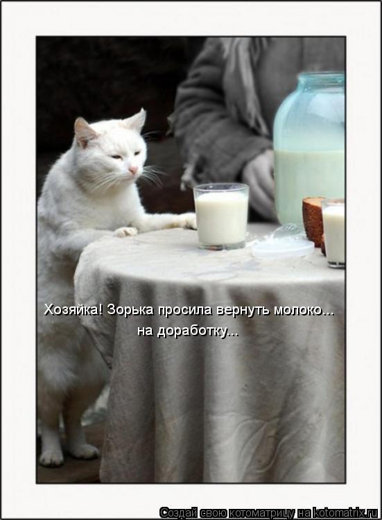 Хозяйка! Зорька просила вернуть молоко... на доработку...... Котоматрица: Хозяйка! Зорька просила вернуть молоко... на доработку...