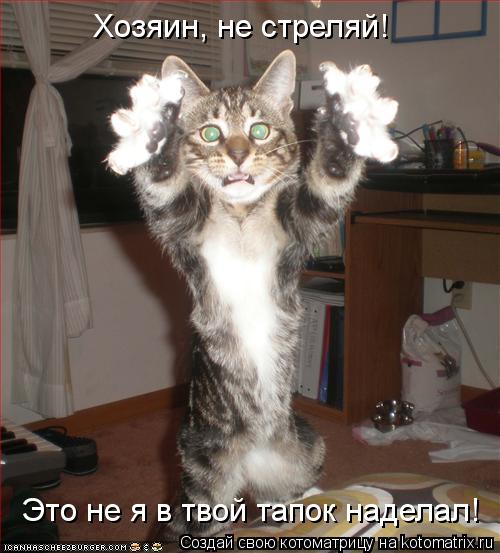 Хозяин, не стреляй! Это не я в твой тапок наделал!... Котоматрица: Хозяин, не стреляй! Это не я в твой тапок наделал!