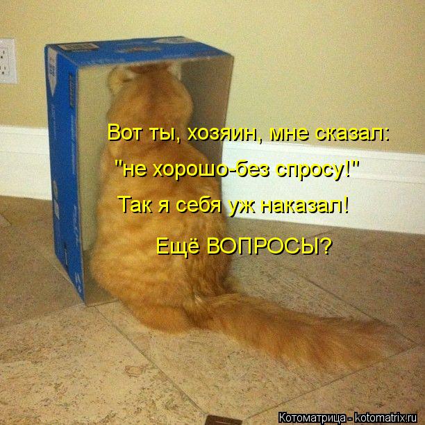 Вот ты, хозяин, мне сказал: Так я себя уж наказал! Ещё ВОПРОСЫ? "не хорошо-без спросу!"... Котоматрица: Вот ты, хозяин, мне сказал: Так я себя уж наказал! Ещё ВОПРОСЫ? "не хорошо-без спросу!"