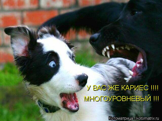 У ВАС ЖЕ КАРИЕС !!!! МНОГОУРОВНЕВЫЙ !!!... Котоматрица: У ВАС ЖЕ КАРИЕС !!!! МНОГОУРОВНЕВЫЙ !!!