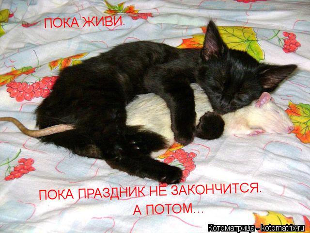 Котоматрица: ПОКА ЖИВИ. ПОКА ПРАЗДНИК НЕ ЗАКОНЧИТСЯ. А ПОТОМ...