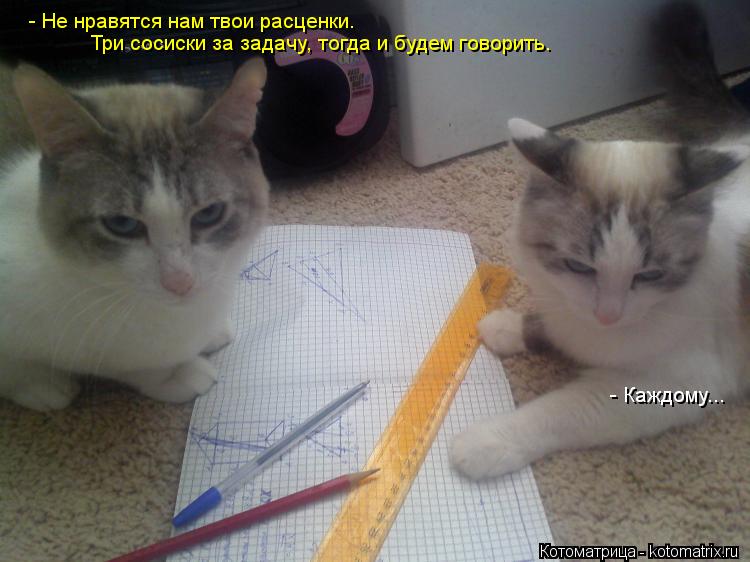 Котоматрица: - Не нравятся нам твои расценки.  Три сосиски за задачу, тогда и будем говорить. - Каждому...
