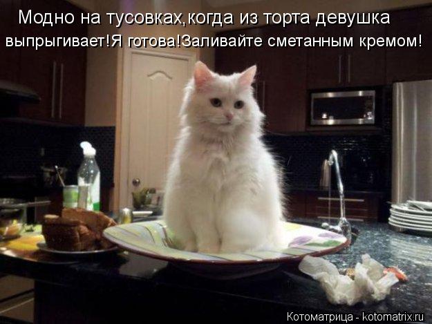 Котоматрица: Модно на тусовках,когда из торта девушка выпрыгивает!Я готова!Заливайте сметанным кремом!