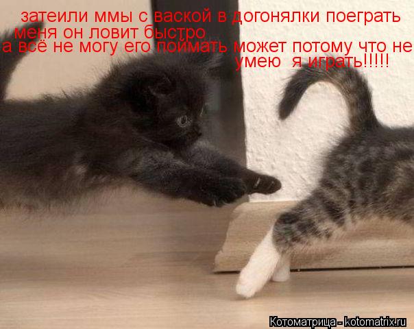 Котоматрица: затеили ммы с ваской в догонялки поеграть  меня он ловит быстро  а всё не могу его поймать может потому что не умею  я играть!!!!!