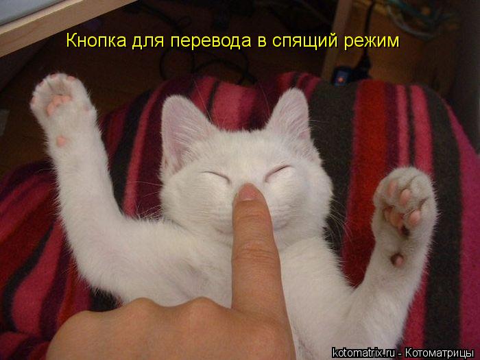 Кнопка для перевода в спящий режим... Котоматрица: Кнопка для перевода в спящий режим