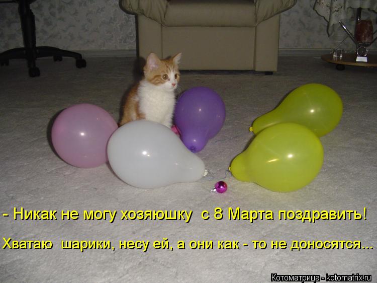 - Никак не могу хозяюшку с 8 Марта поздравить! Хватаю шарики, несу ей, а они как - то не доносятся.... Котоматрица: - Никак не могу хозяюшку с 8 Марта поздравить! Хватаю шарики, несу ей, а они как - то не доносятся...