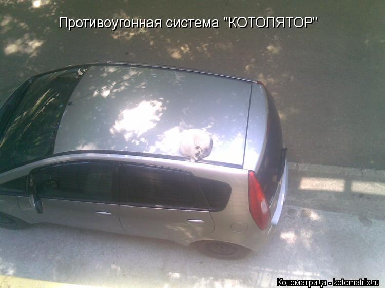 Котоматрица: Противоугонная система "КОТОЛЯТОР"
