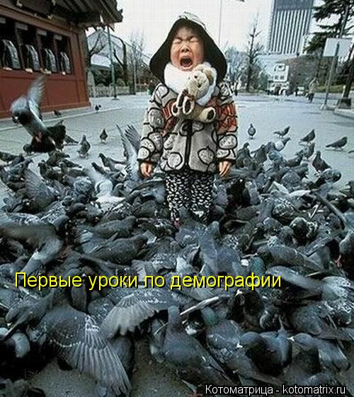 Котоматрица: Первые уроки по демографии