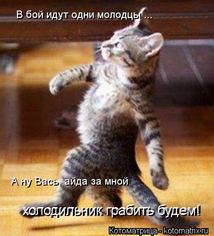 Котоматрица: В бой идут одни молодцы ... А ну Вась, айда за мной холодильник грабить будем! холодильник грабить будем!