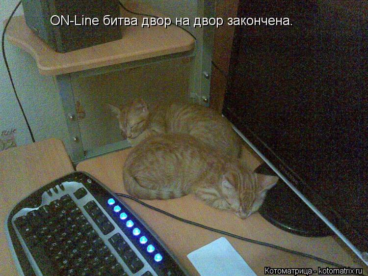 Котоматрица: ON-Line битва двор на двор закончена.