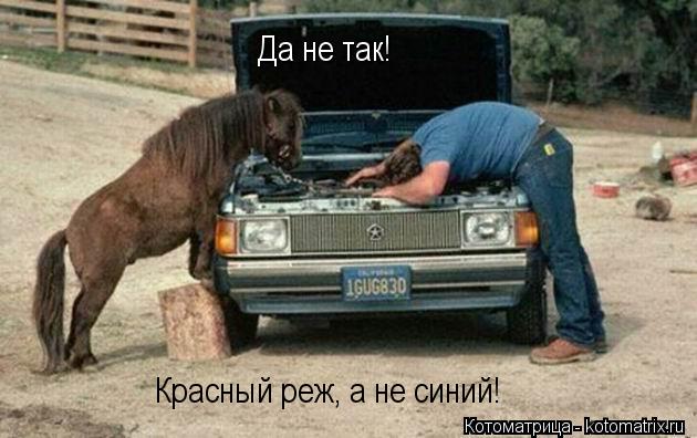 Да не так! Красный реж, а не синий!... Котоматрица: Да не так! Красный реж, а не синий!