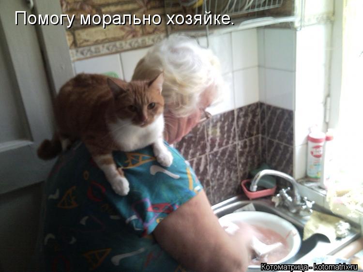 Котоматрица: Помогу морально хозяйке.