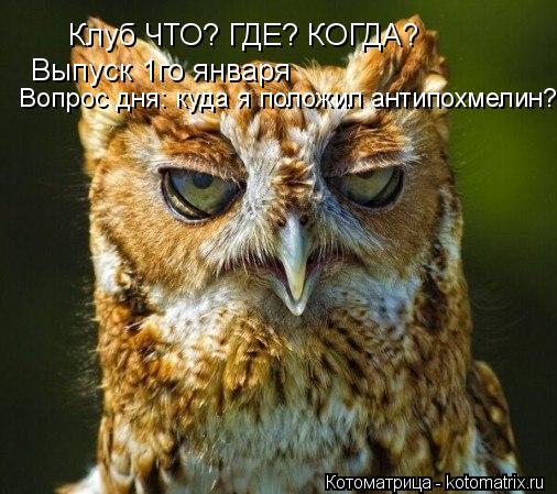 Котоматрица: Клуб ЧТО? ГДЕ? КОГДА? Выпуск 1го января Вопрос дня: куда я положил антипохмелин?