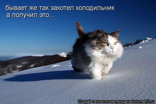 Котоматрица: бывает же так захотел холодильник а получил это...