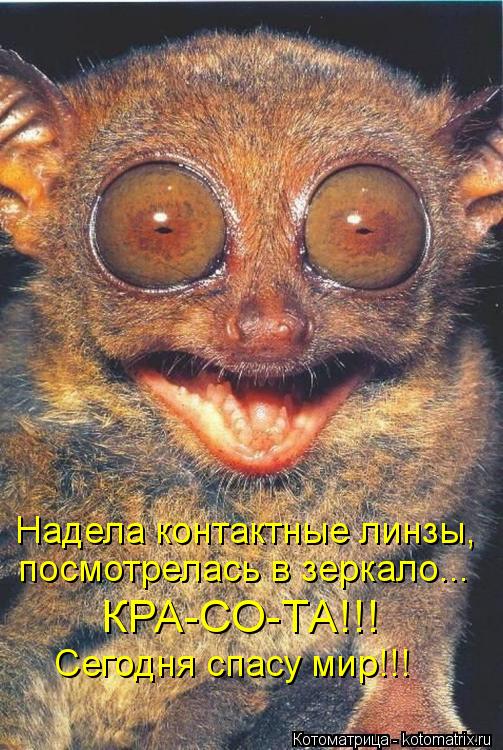 Надела контактные линзы, посмотрелась в зеркало... КРА-СО-ТА!!! Сегодня спасу мир!!!... Котоматрица: Надела контактные линзы, посмотрелась в зеркало... КРА-СО-ТА!!! Сегодня спасу мир!!!