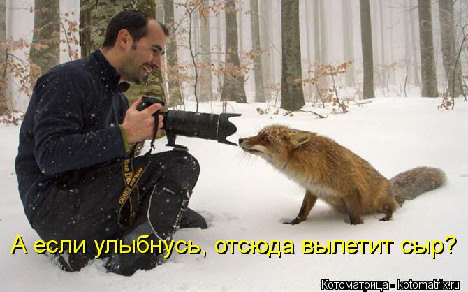 А если улыбнусь, отсюда вылетит сыр?... Котоматрица: А если улыбнусь, отсюда вылетит сыр?