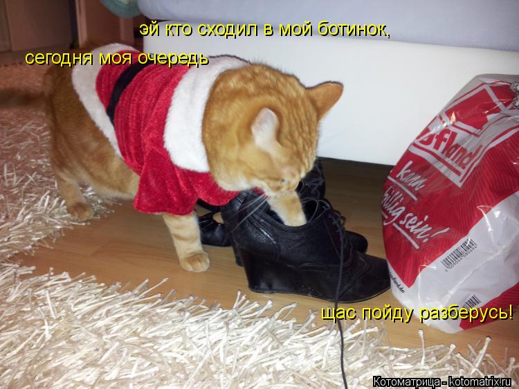 Котоматрица: эй кто сходил в мой ботинок,  сегодня моя очередь щас пойду разберусь!