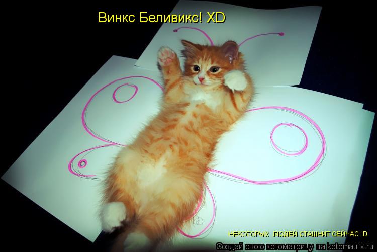 Котоматрица: Винкс Беливикс! ХD НЕКОТОРЫХ  ЛЮДЕЙ СТАШНИТ СЕЙЧАС :D