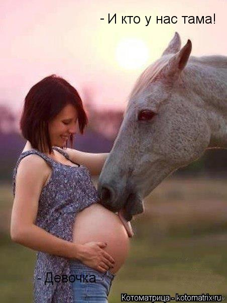 И кто у нас тама! Девочка - -... Котоматрица: И кто у нас тама! Девочка - -