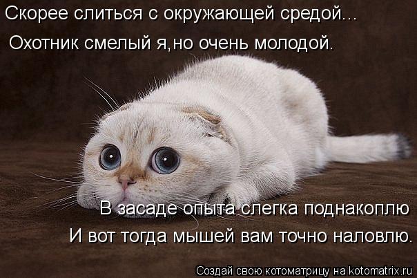 Конкурс: Мартовский КотЭ - Страница 9 Kotomatritsa_pC