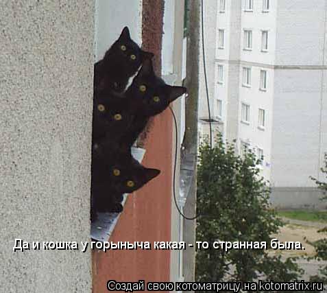 Котоматрица: Да и кошка у горыныча какая - то странная была.