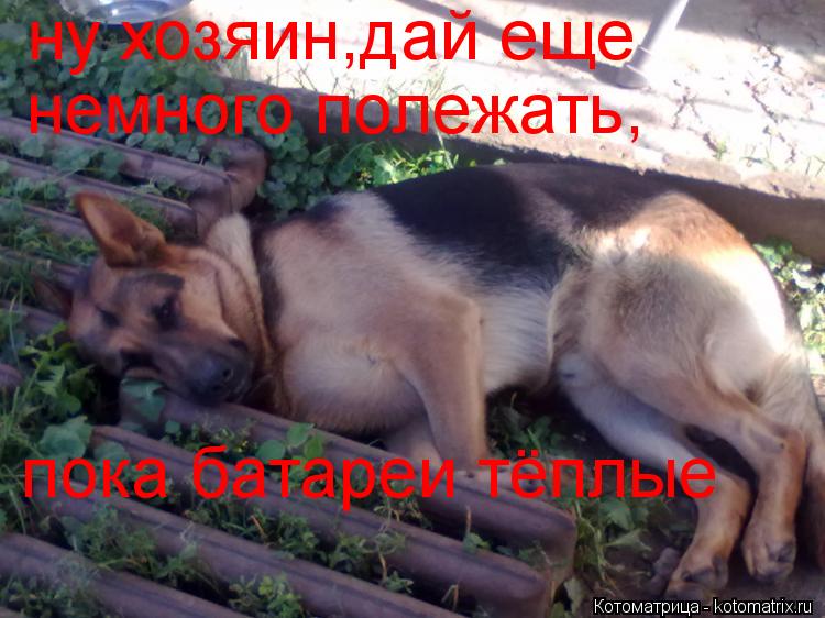 пока батареи тёплые ну хозяин,дай еще немного полежать,... Котоматрица: пока батареи тёплые ну хозяин,дай еще немного полежать,