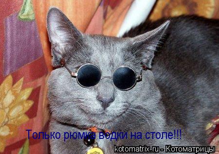 Котоматрица: Только рюмка водки на столе!!!