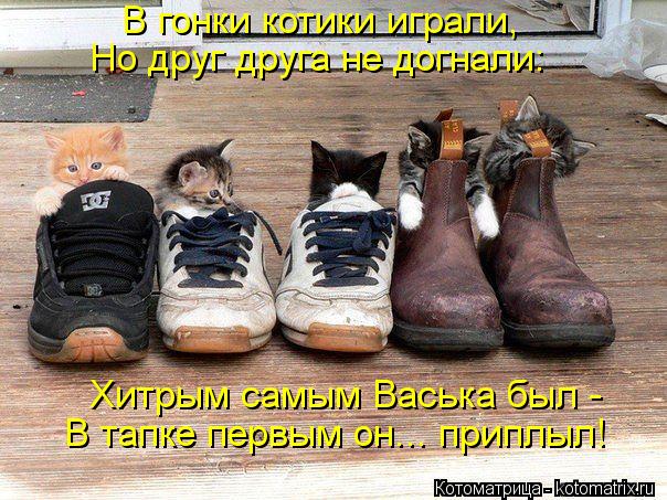 Котоматрица: В гонки котики играли, Но друг друга не догнали: Хитрым самым Васька был - В тапке первым он... приплыл!
