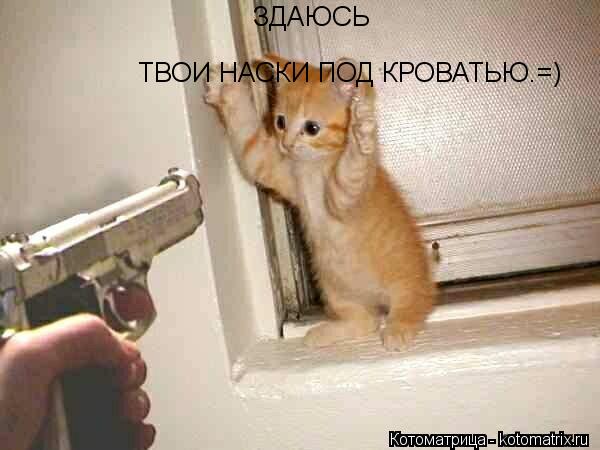 Котоматрица: ЗДАЮСЬ ТВОИ НАСКИ ПОД КРОВАТЬЮ.=)