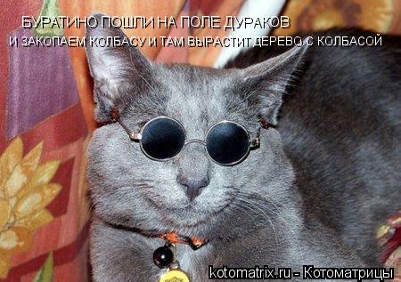 Котоматрица: БУРАТИНО ПОШЛИ НА ПОЛЕ ДУРАКОВ И ЗАКОПАЕМ КОЛБАСУ И ТАМ ВЫРАСТИТ ДЕРЕВО С КОЛБАСОЙ