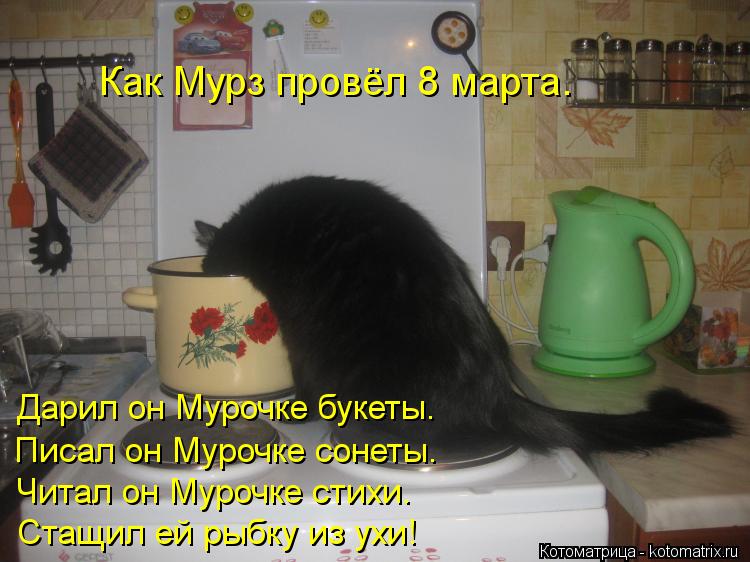 Котоматрица: Как Мурз провёл 8 марта. Дарил он Мурочке букеты. Писал он Мурочке сонеты. Читал он Мурочке стихи. Стащил ей рыбку из ухи!