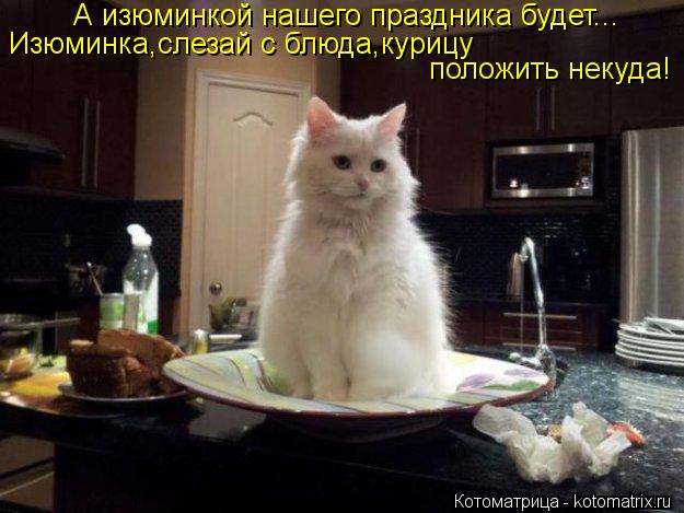 Котоматрица: А изюминкой нашего праздника будет... Изюминка,слезай с блюда,курицу положить некуда!