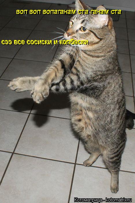Котоматрица: воп воп вопаганам ста ганам ста сээ все сосиски и колбаски  сээ все сосиски и колбаски  воп воп вопаганам ста ганам ста