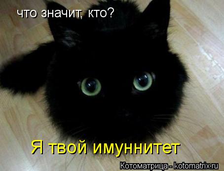 Котоматрица: что значит, кто? Я твой имуннитет