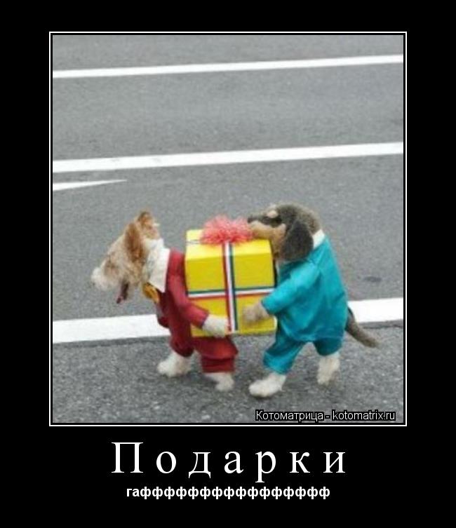 Котоматрица: Подарки гафффффффффффффффф