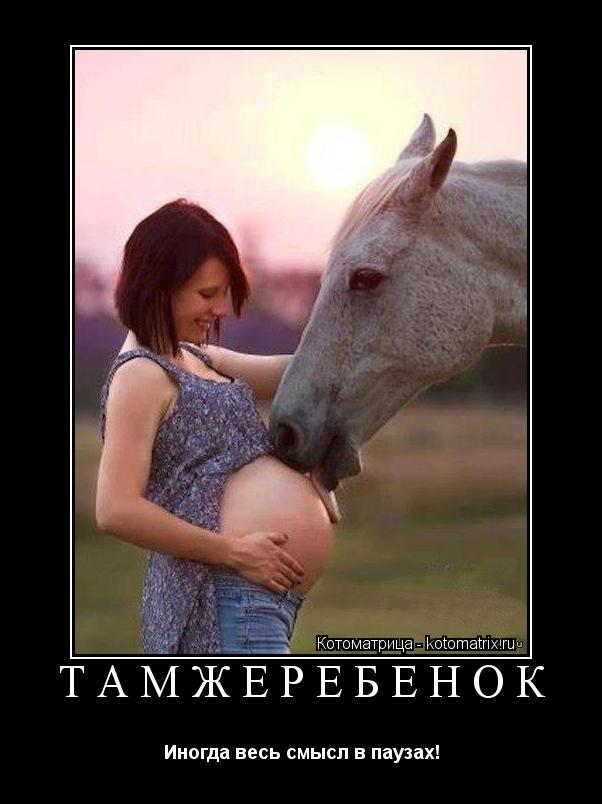 ТАМЖЕРЕБЕНОК Иногда весь смысл в паузах!... Котоматрица: ТАМЖЕРЕБЕНОК Иногда весь смысл в паузах!