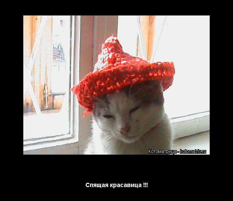 Комиксы Спящая красавица !!!... Котоматрица: Комиксы Спящая красавица !!!