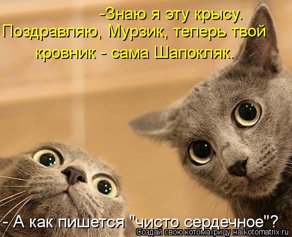 -Знаю я эту крысу. Поздравляю, Мурзик, теперь твой кровник - сама Шапокляк. - А как пишется "чисто с... Котоматрица: -Знаю я эту крысу. Поздравляю, Мурзик, теперь твой кровник - сама Шапокляк. - А как пишется "чисто сердечное"?