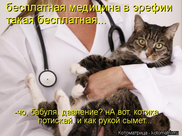 бесплатная медицина в эрефии такая бесплатная... -чо, бабуля, давление? нА вот, котика потискай, и к... Котоматрица: бесплатная медицина в эрефии такая бесплатная... -чо, бабуля, давление? нА вот, котика потискай, и как рукой сымет...